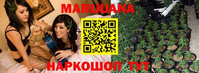 стаф Будённовск