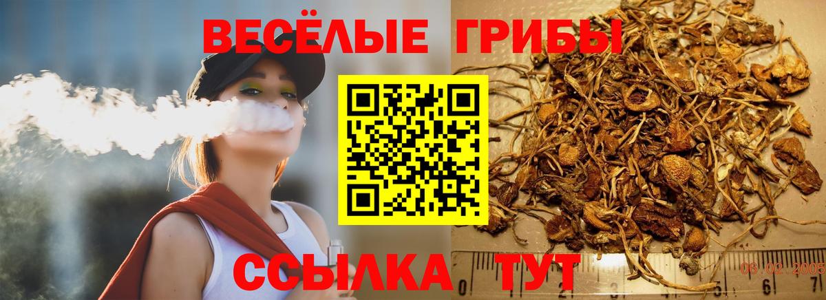 Псилоцибиновые грибы MAGIC MUSHROOMS Армавир