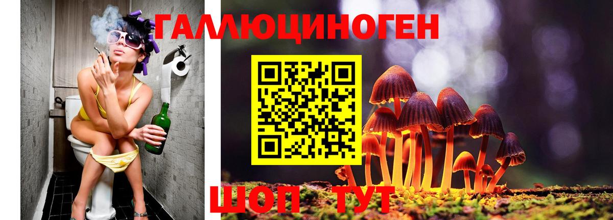 Псилоцибиновые грибы мухоморы  Вход с VPN  как найти закладки  Армавир 